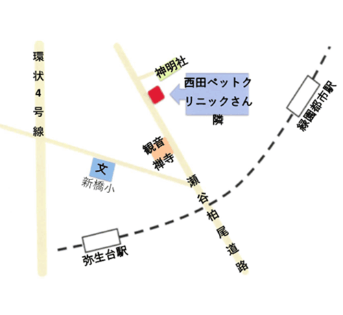 スマイルハーモニー　弥栄までの地図